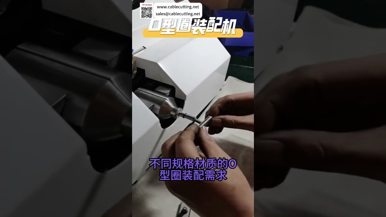 High Efficiency O Ring Assembly Machine Fast Automated Sealing Production Equipment Line