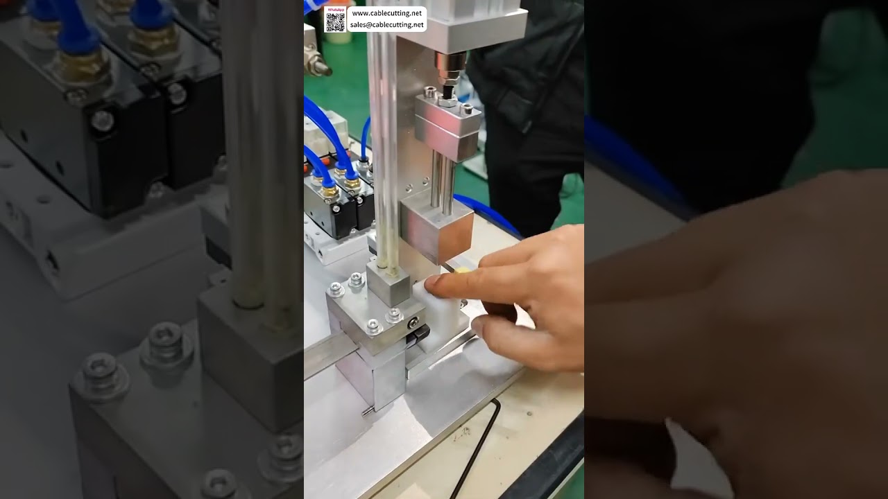 Mesin Perakitan Inti Magnetik - Press Fit Otomatis Universal untuk Berbagai Pemrosesan Magnet