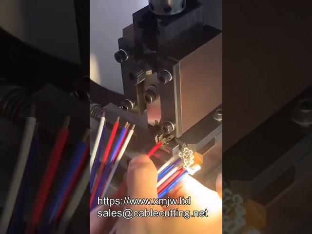 Mesin Crimping Terminal Strip Otomotif untuk JST, Molex, dan Merek Lain