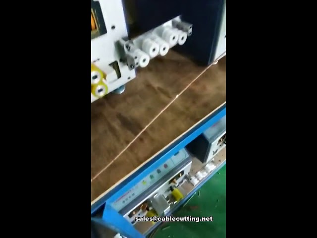 Mesin Pengupas Tengah Otomatis 12 Section – Efisien dan Produktif untuk Industri