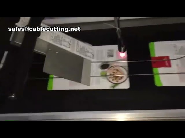 Mesin Labeling Otomatis untuk Kantong Datar & Plastik | Solusi Cepat & Presisi Industri