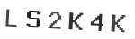 Verification Code Image